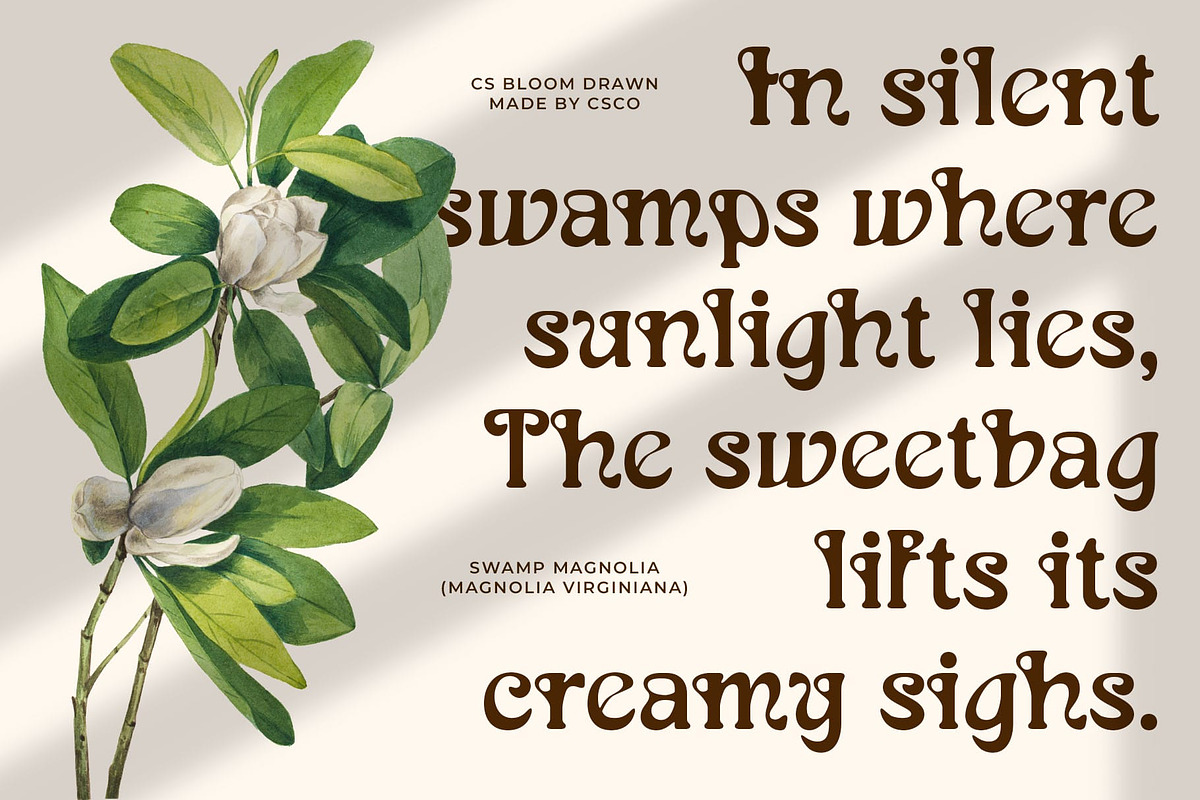 CS Bloom Drawn, a Serif Font by Craft Supply Co. (Photo 5 of 8)