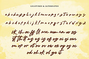 Deliorez Signature, a Handwritten Font by Eltypesstudio (Thumbnail 4 of 12)