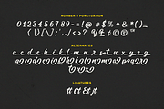 Volks Theatre Retro Fancy, a Script Font by Typetemp Studio (Thumbnail 9 of 10)