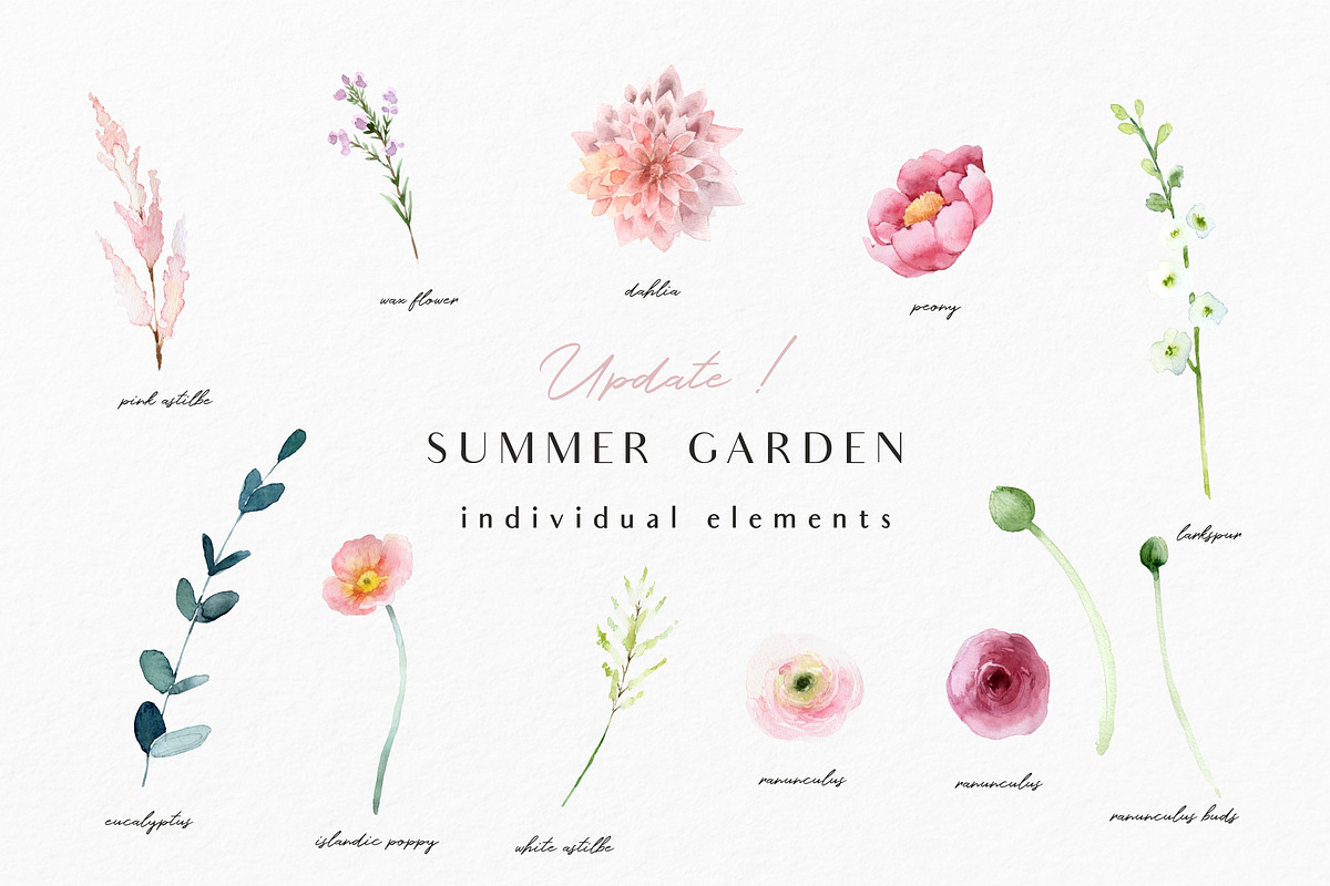SALE! Summer garden - floral graphic, an Illustration by Youksy (Photo 11 of 24)