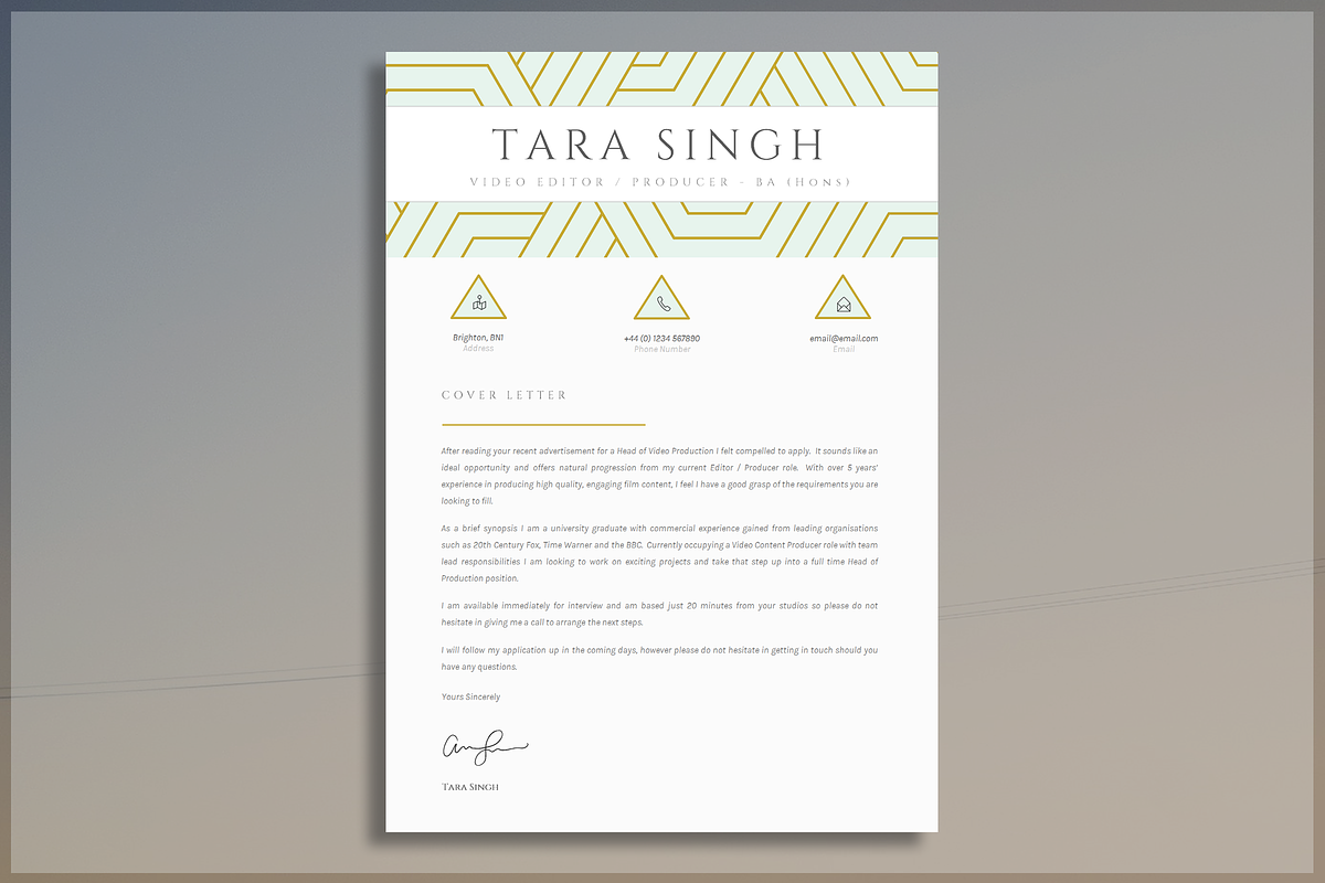 Beautiful CV Template, a Resume Template by introDuice - CV / Resumes (Photo 4 of 7)