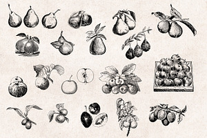 Fruits Engravings Set