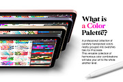 120 Procreate Color Palettes Bundle, a Palette Add-On by RadekBroz (Thumbnail 2 of 9)
