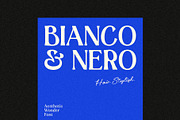 Aesthetic Wonder - Modern Aesthetic, a Serif Font by Prioritype Co (Thumbnail 8 of 20)