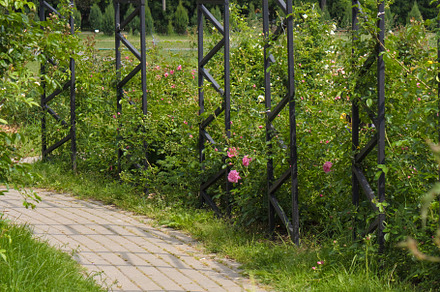 Picnic area in summer. green lawn an, a Holiday Photo by nafood