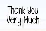 Thankgiving, a Handwritten Font by FreshTypeINK (Thumbnail 4 of 6)