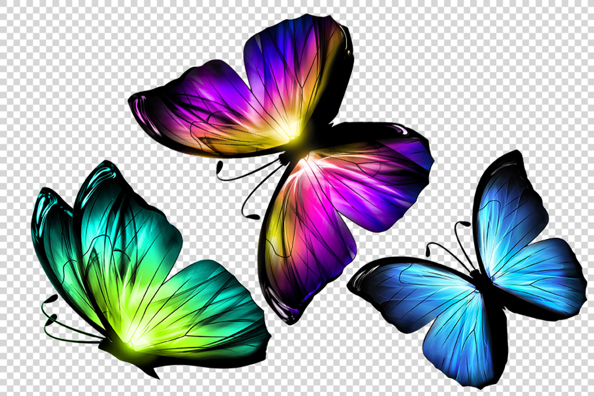 3D Neon Butterflies, an Animal Illustration by BazziBa♥ (Photo 7 of 7)