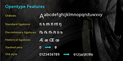 Cumhuriyet, a Sans Serif Font by Fontuma (Thumbnail 7 of 11)