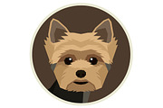 Dog breeds Yorkshire terrier, an Animal Illustration by Nenilkime (Thumbnail 3 of 3)
