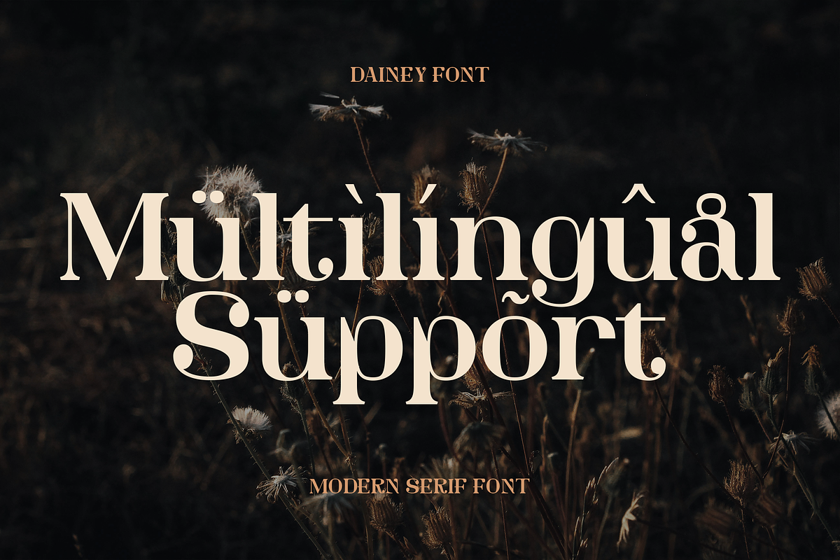 Dainey Modern Serif Font, a Serif Font by Graphue (Photo 2 of 9)