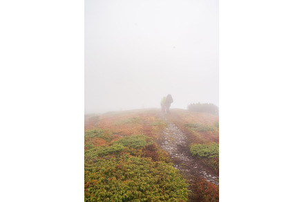 Tourists walking in fog among ripe