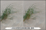 Leica Film Styles, a Plug-in Add-On by Raztrend (Thumbnail 29 of 30)