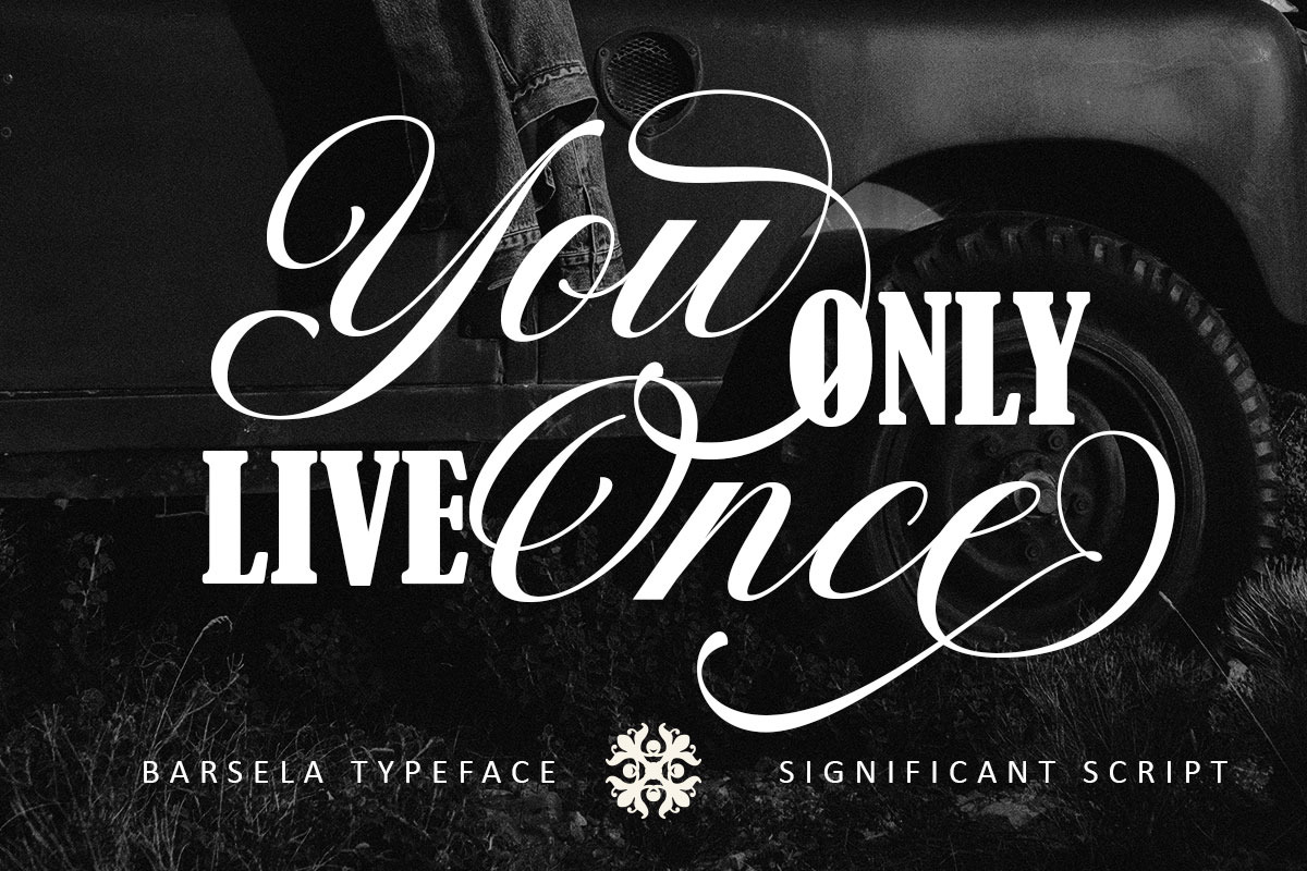 Barsela Calligraphy, a Script Font by Suza Studio (Photo 10 of 12)