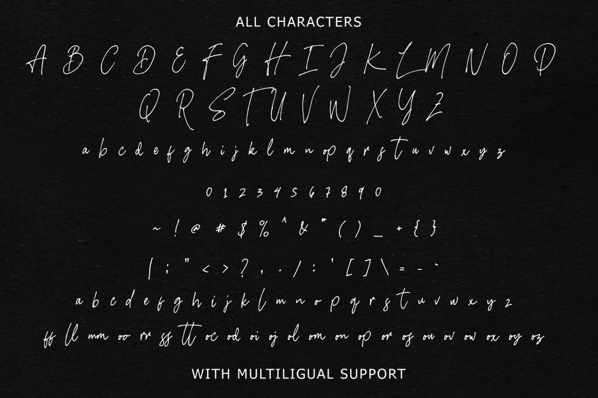 Imestaviga - Authentic Signature, a Script Font by tebaltipislab (Photo 11 of 11)