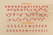 Camheon - Bold Display Serif Font, a Serif Font by Qweera Studio (Thumbnail 11 of 12)