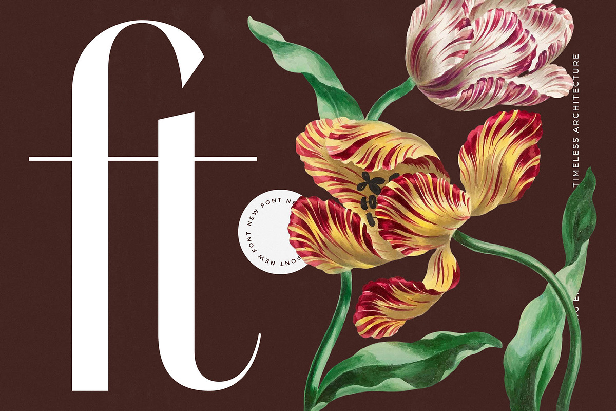 Stogne Gesture Modern Luxury Font, a Sans Serif Font by timelesstype.co (Photo 8 of 20)
