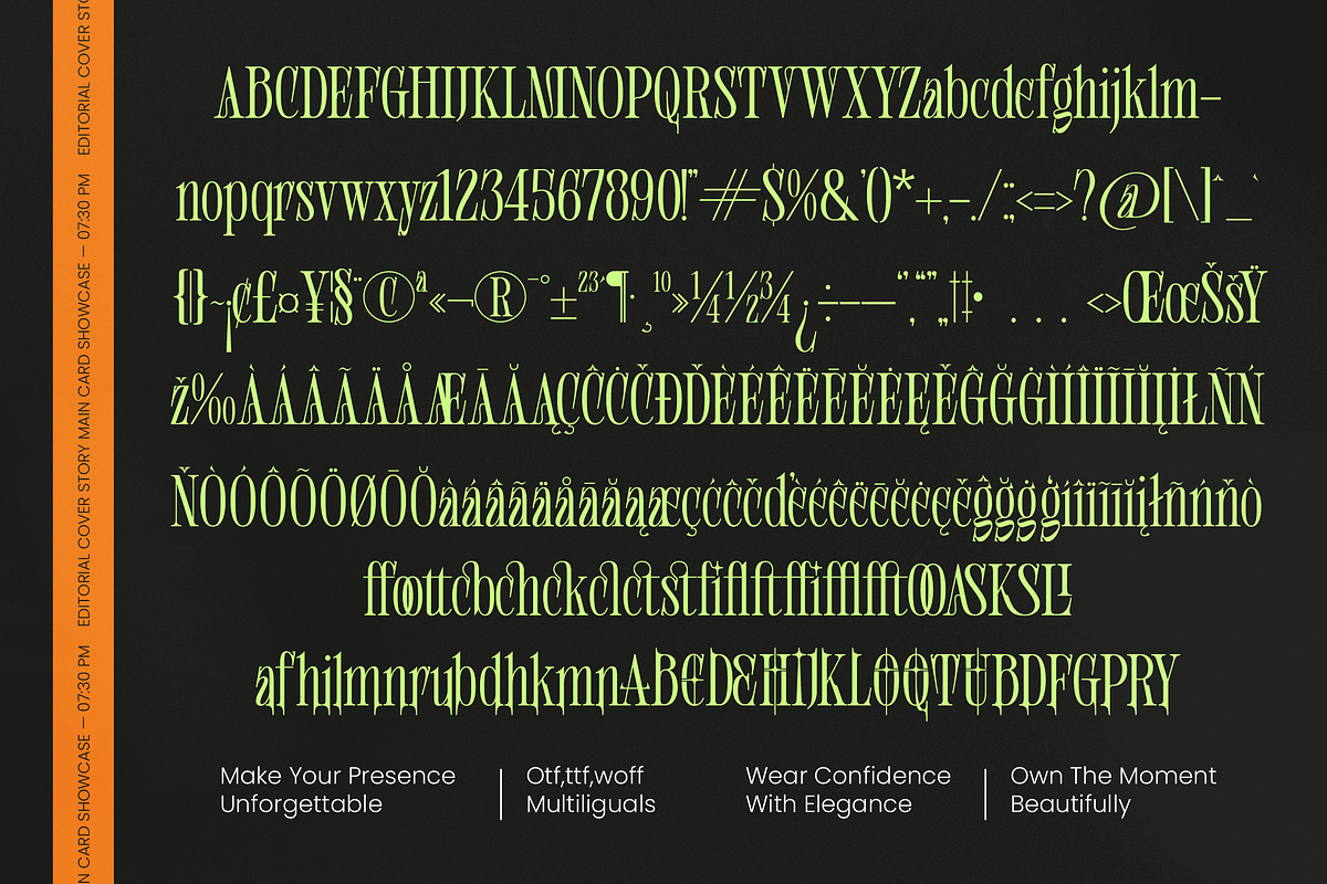 Shliterin Elegant Condensed Serif, a Serif Font by timelesstype.co (Photo 14 of 15)