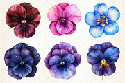 Viola Flower Bloom Clipart, an Illustration by Dream Creation (Thumbnail 3 of 6)