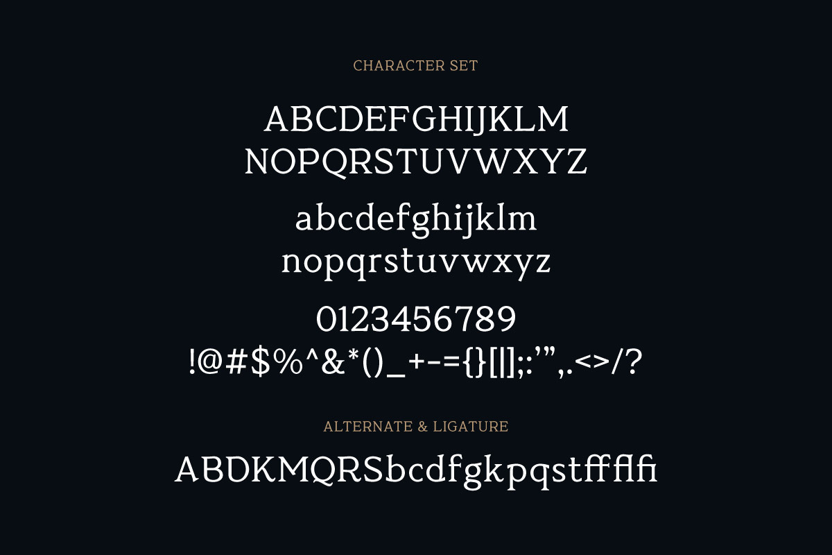 MT Belsior - Ethical AI Serif, a Serif Font by twinstd (Photo 12 of 13)