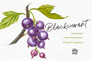 Blackcurrant in botanical style, an Illustration by Ann Astro (Thumbnail 2 of 7)