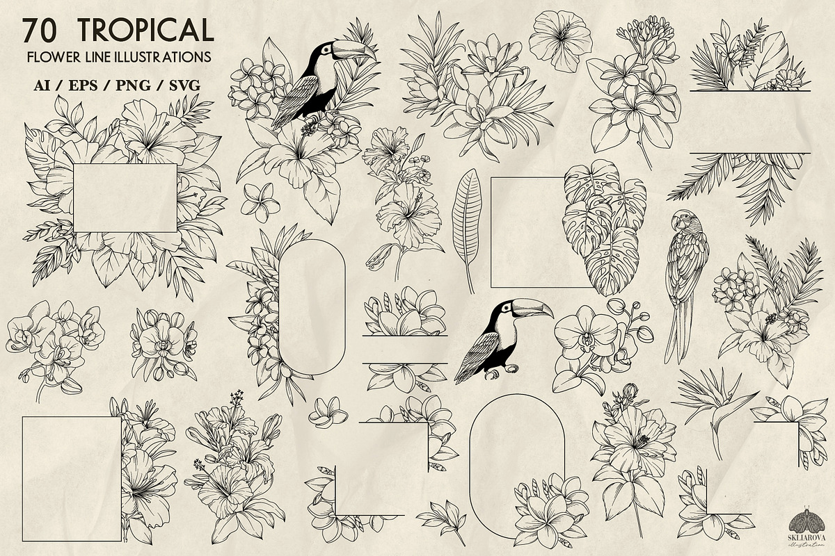 Tropical floral line art + Procreate, a Decorative Illustration by Skliarova (Photo 4 of 4)