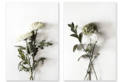Floral Photography Bundle, a Nature Photo by Creative Moxie Studio (Thumbnail 2 of 7)