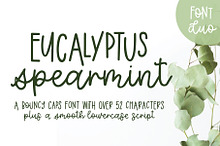 Eucalyptus Spearmint Monoline Script