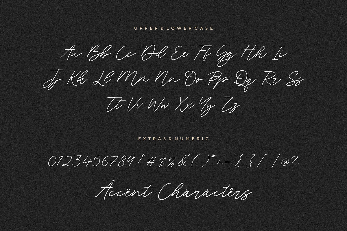 Blackswan - Monoline Signature Font, a Script Font by Letterative Studio (Photo 6 of 7)