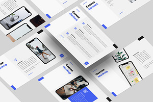 Ceevaa Keynote Template