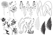 Wildherbs and flowers., an Object Graphic by maritime_m (Thumbnail 6 of 8)