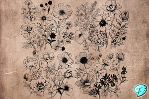 Vintage Floral Digi Stamps Vol 2.