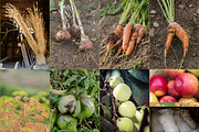 Feeling Organic, a Food & Drink Photo by Feelings (Thumbnail 2 of 5)