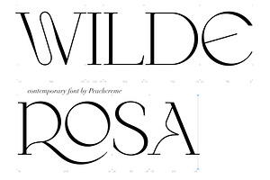 Wilde Rosa//Contemporary & Chic Font