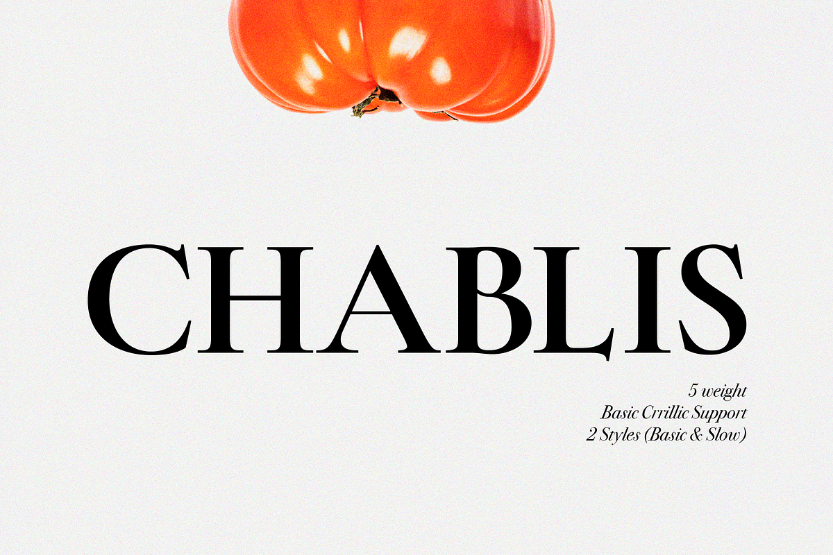 ZT Chablis - Classic serif, a Serif Font by zelow type (Photo 1 of 15)