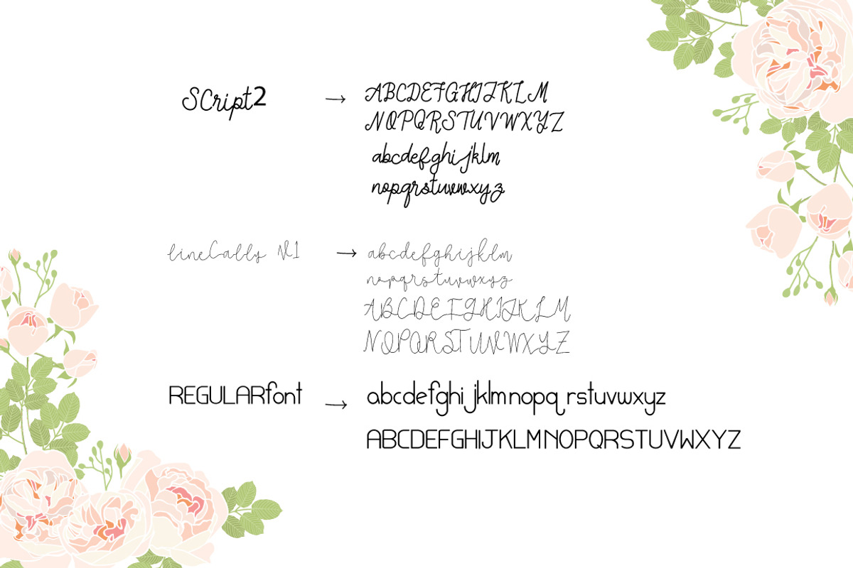 FONT SET&Rose Garden vector element, an Illustration by MooBeer (Photo 6 of 6)
