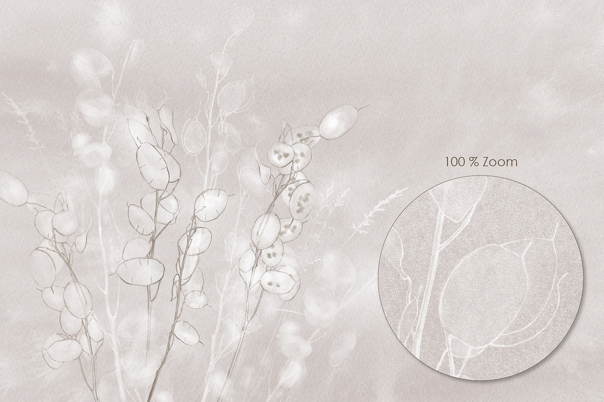 Lunaria – Botanical Wall Mural Set, a Wallpaper Graphic by Timofi Art (Photo 8 of 9)