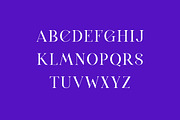 Sugardays Elegant Serif Font, a Serif Font by UICreative (Thumbnail 4 of 13)
