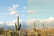 Mesquite Lightroom Presets, a Brushes & More by Cactus Country (Thumbnail 2 of 11)