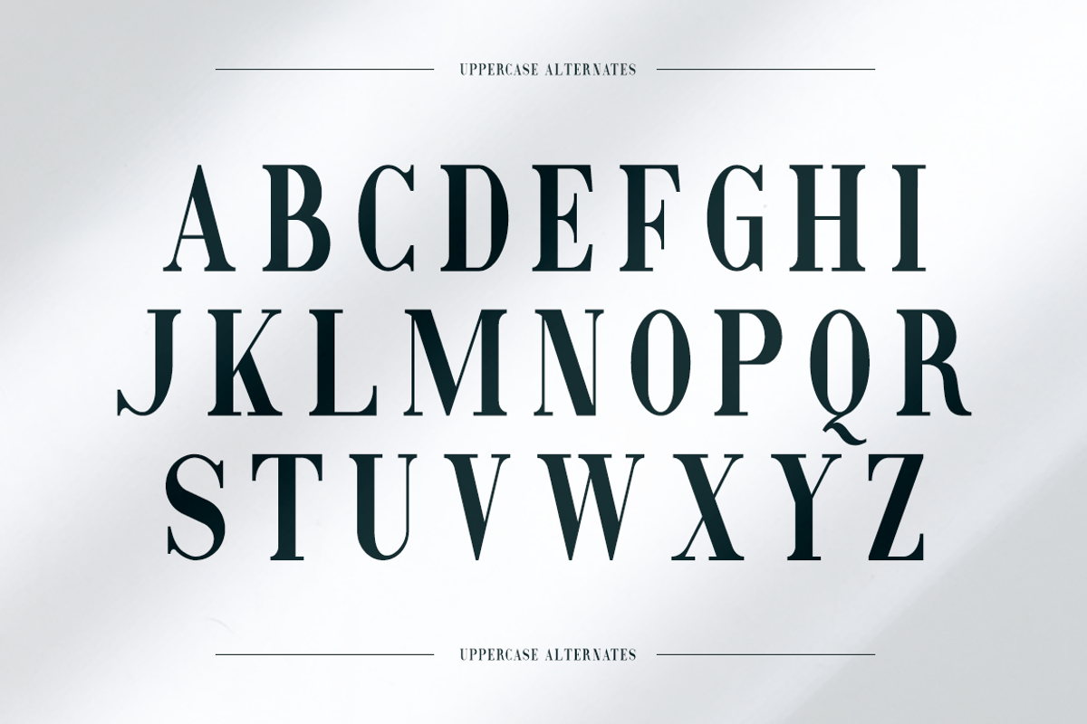 Emerald - Business Font, a Serif Font by RockboyStd (Photo 11 of 12)