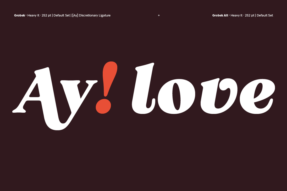 Grobek, a Serif Font by Latinotype (Photo 12 of 15)