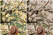 20 Lightroom Presets Boho Girl p1, a Preset Add-On by PerfectStudioPresets (Thumbnail 8 of 10)