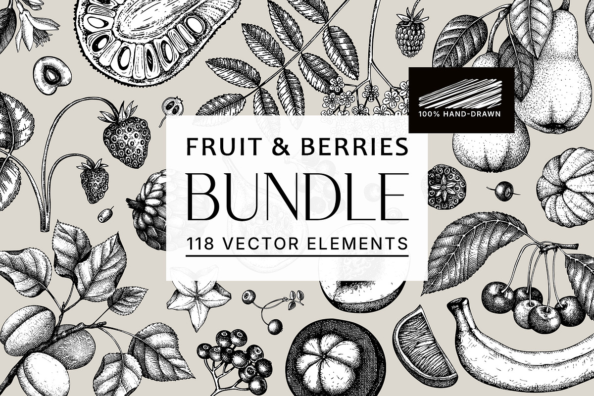 MEGA BUNDLE - Food Sketches, a Food Illustration by Yevheniia (Photo 5 of 5)