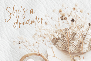 Dreamland Script Font