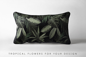 Tropical Patterns & Set VECTOR 2