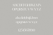 Dynasty - Curly Display Serif, a Serif Font by subkulturetype (Thumbnail 7 of 8)