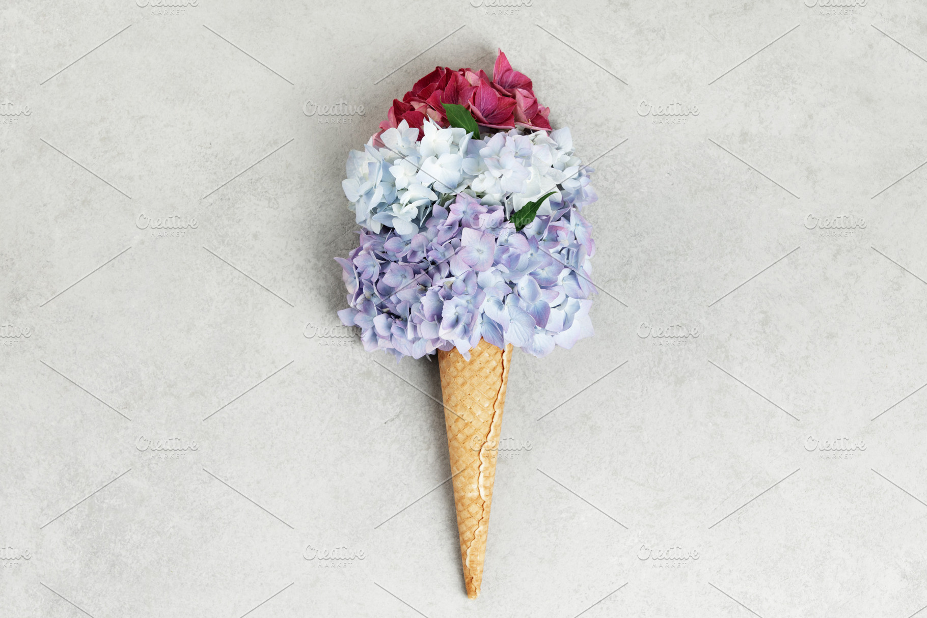 Multicolor Hydrangeas in Ice Cream Cone on Neutral Background, a Beauty & Fashion Photo by Natalia Klenova's Shop
