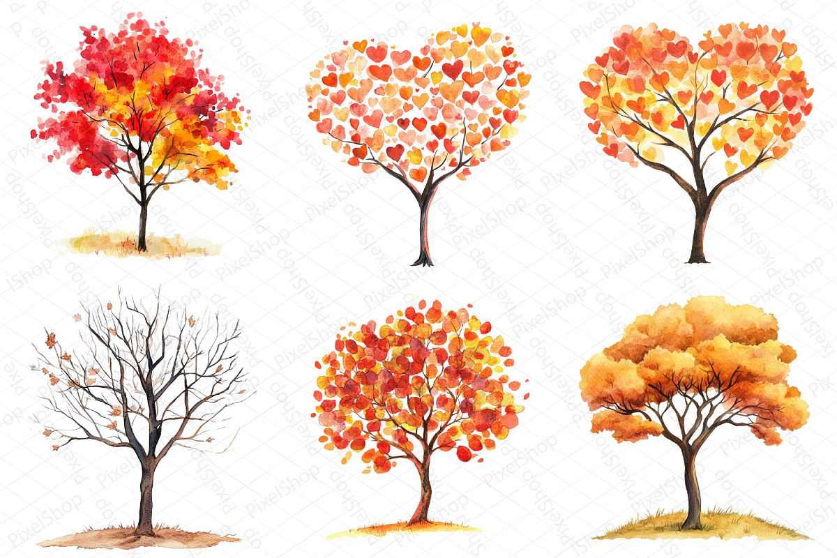 Watercolor Fall Autumn Tree Clipart, an Illustration by DreamPrint404 (Photo 2 of 6)