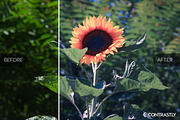 Matte & Pastel Lightroom Presets, an Action Add-On by Contrastly Shop (Thumbnail 5 of 5)