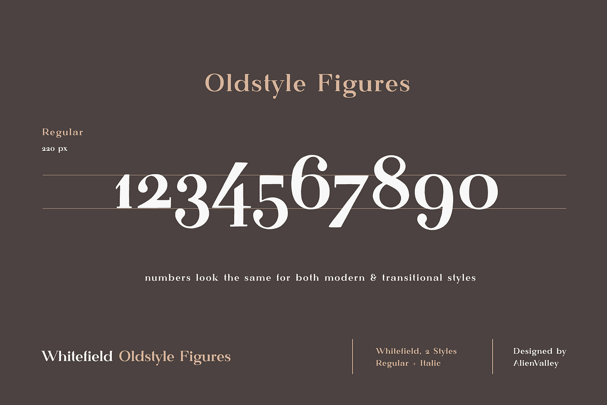 Whitefield - Handcrafted Serif, a Serif Font by AlienValley (Photo 5 of 8)