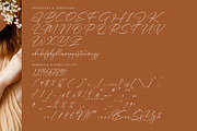 Sabrina Fairytale, a Script Font by Integritype Studio (Thumbnail 13 of 15)